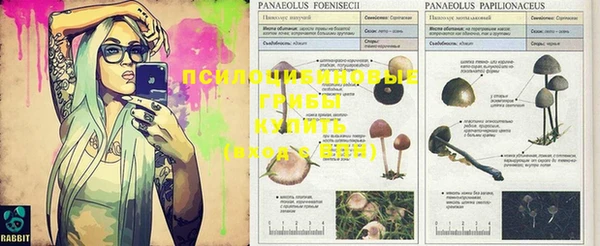 MDMA Михайлов